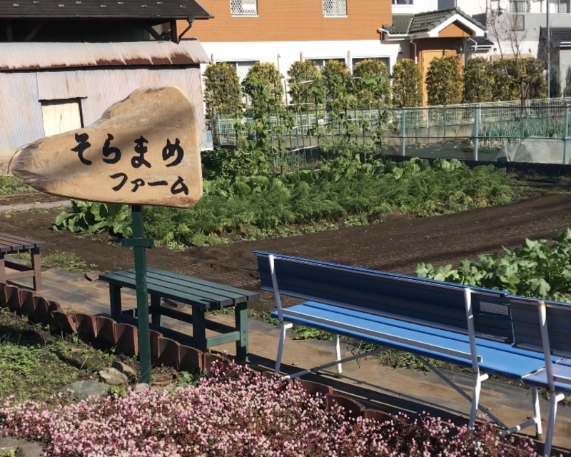 そらまめファームがみんな大地に掲載されました